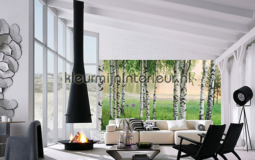 nordic forest fotomurali 00290 sale photomurals Ideal Decor